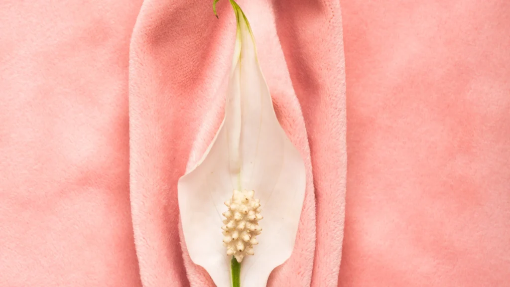 Labia majora reduction surgery at ko cosmetics surgery centre in coimbatore